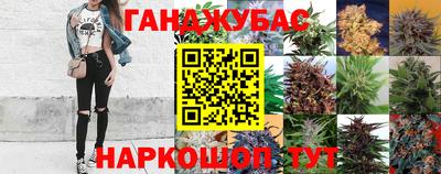 гашик Малоярославец