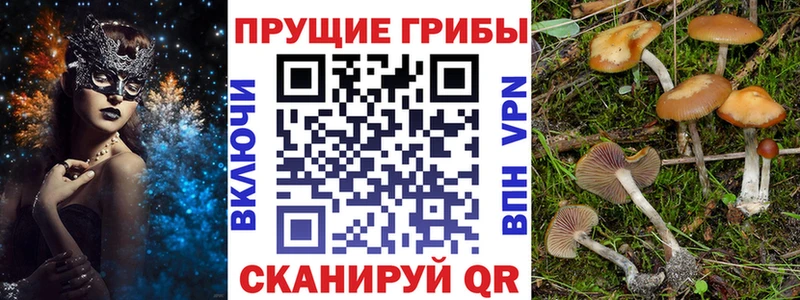 купить наркоту  Ипатово  Псилоцибиновые грибы MAGIC MUSHROOMS 