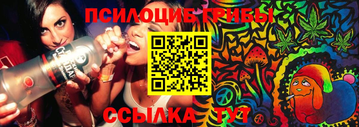Псилоцибиновые грибы прущие грибы  Вход с VPN  дарнет шоп  Ипатово  Псилоцибиновые грибы Psilocybe 
